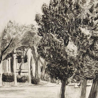 landscape charcoal study 2023
